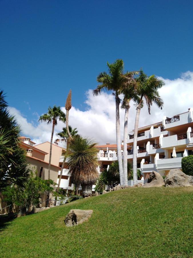 Forest Flat - Big Heated Pool, Terrace, Tv Channels, Golf Courses San Miguel de Abona Exterior foto