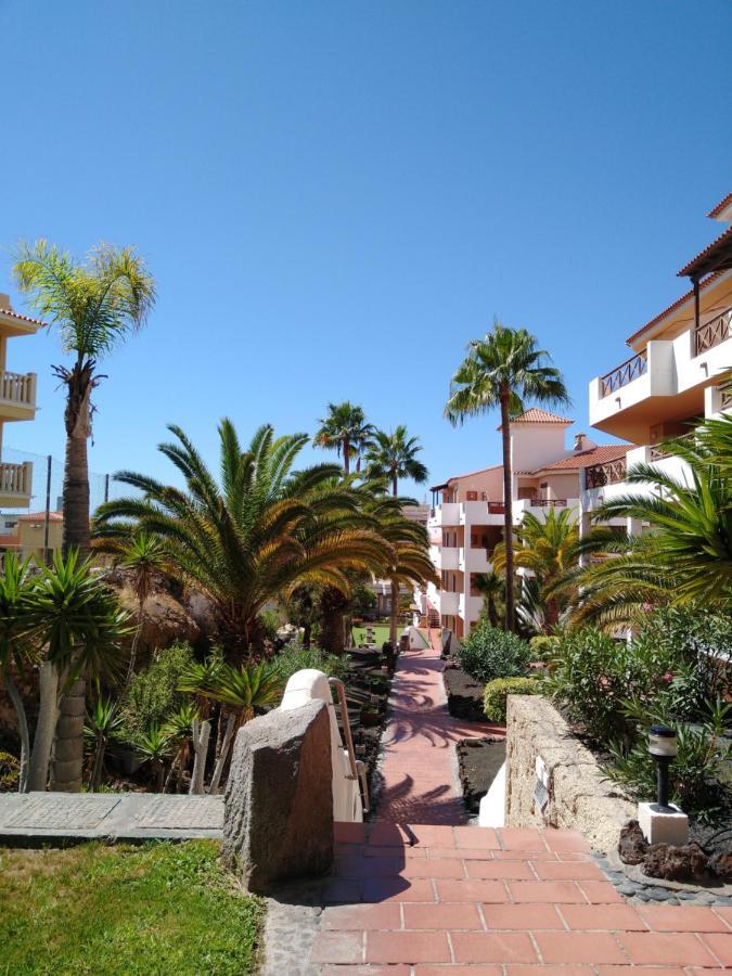 Forest Flat - Big Heated Pool, Terrace, Tv Channels, Golf Courses San Miguel de Abona Exterior foto