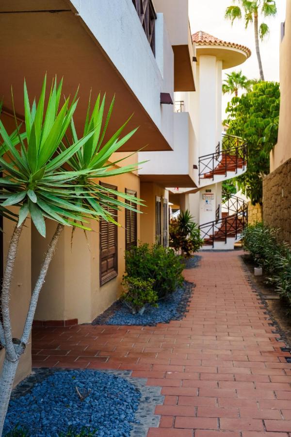 Forest Flat - Big Heated Pool, Terrace, Tv Channels, Golf Courses San Miguel de Abona Exterior foto